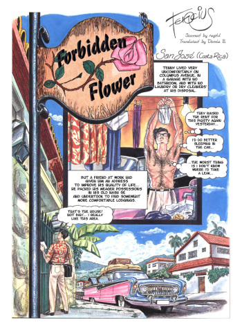 Forbidden Flower cover