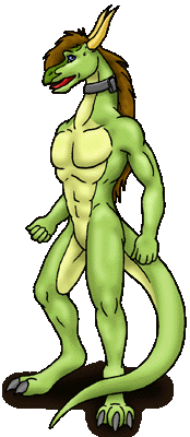 Wookiee- furry porn collection page 10 full