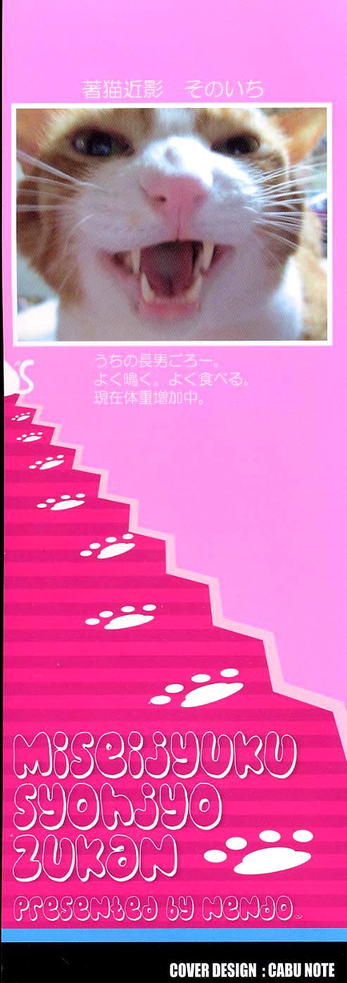 Miseijuku Shoujo Zukan page 3 full