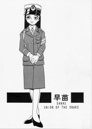 SANAE cover