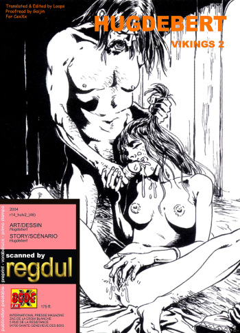 Vikings 2 cover