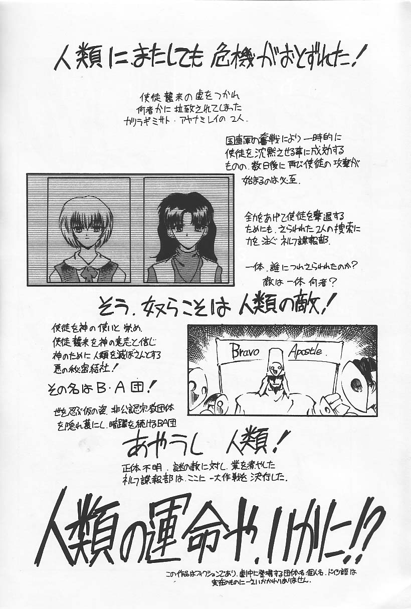 Ryokan Hanamura "Beni Kujaku no Ma" page 5 full