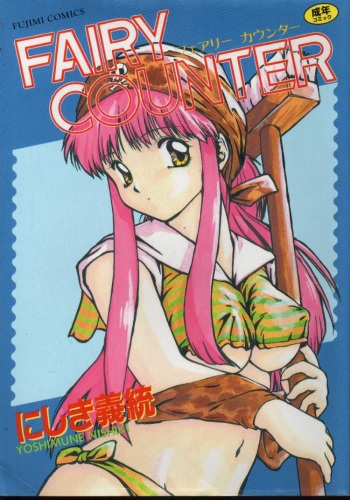 Fairy Counter cover