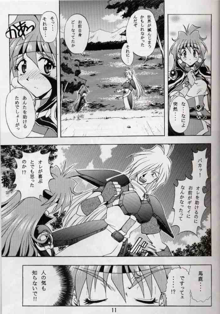 Otome no Inori page 10 full