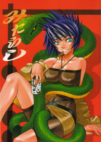 Mitarashi cover