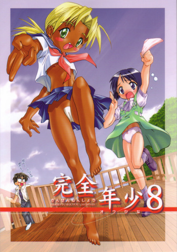 Kanzen Nenshou 8 cover
