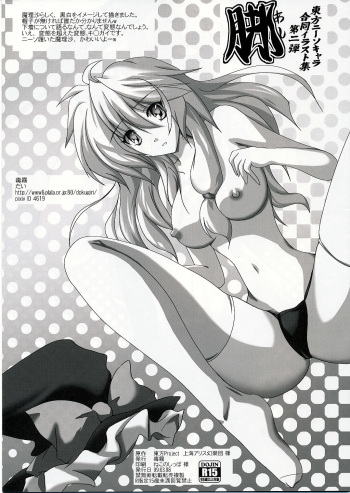 Touhou KneeSo Chara Goudou Illust Shuu Dai-ni-dan Ashi cover