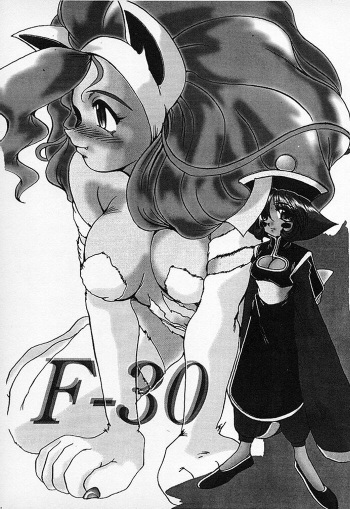 F-30 cover