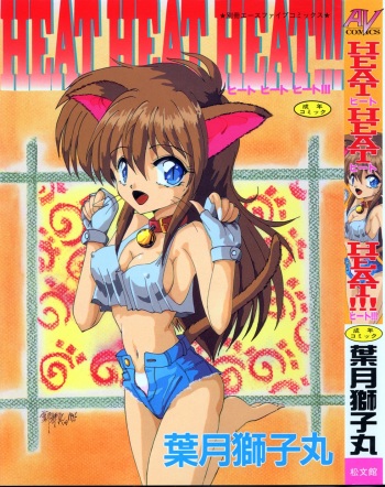 HEAT HEAT HEAT!!! cover