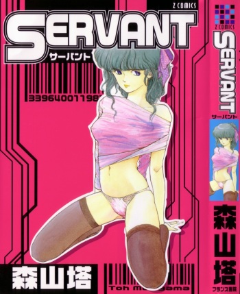Servant cover