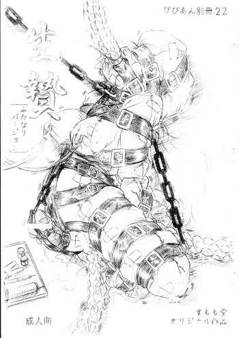 Vivian Bessatsu 22 - Ikenie Futanari Version cover