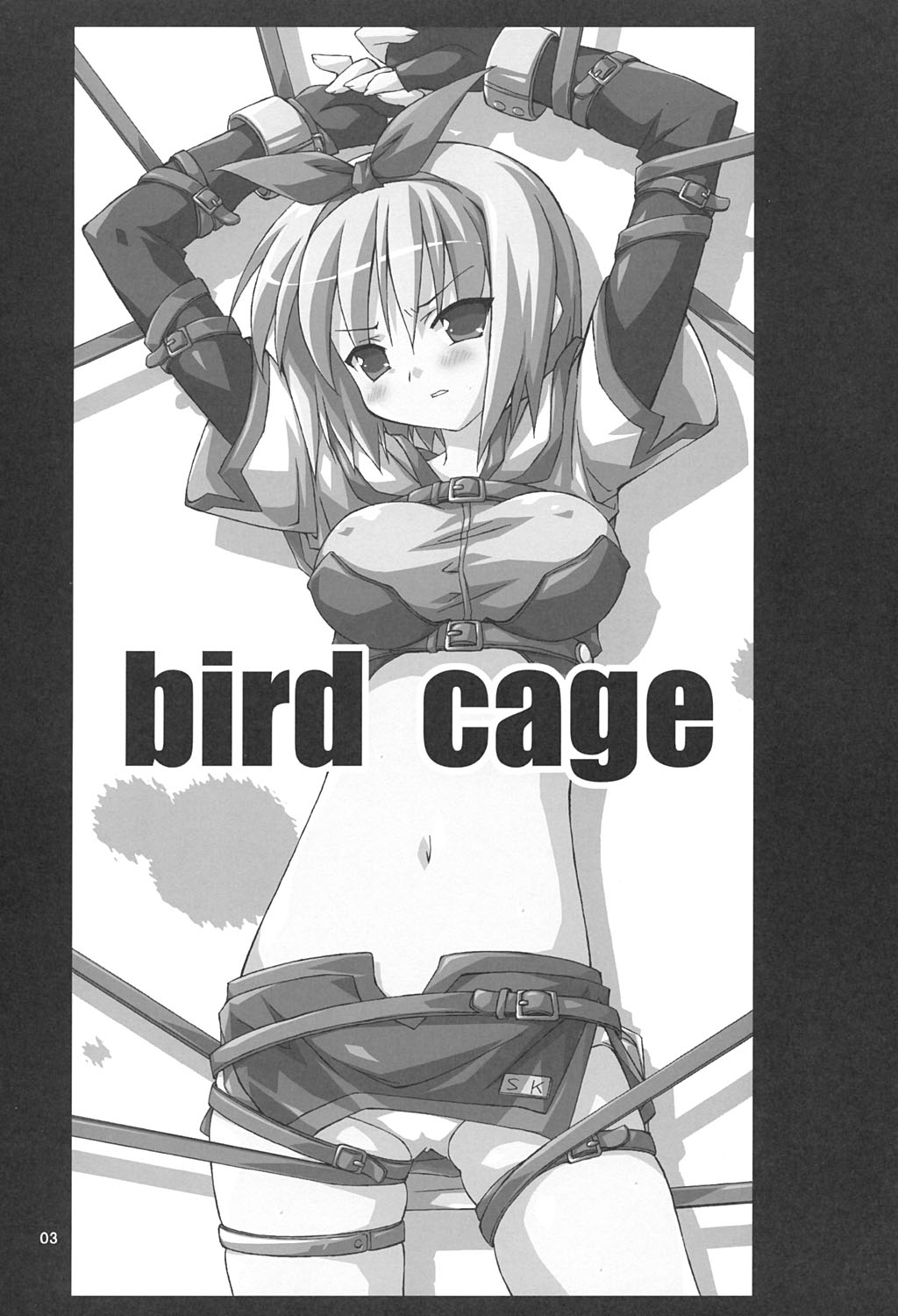 Bird Cage page 2 full