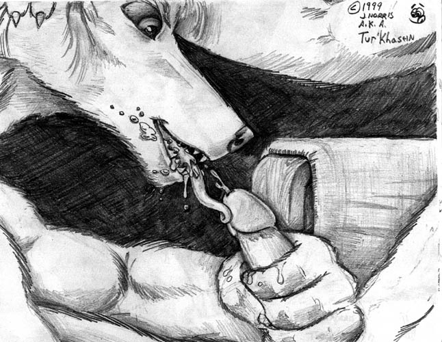 Greatest collection of Furry page 7 full