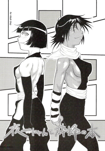Yoruichi Nyan to Soi Fon no Hon cover