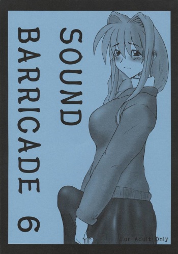 SOUND BARRICADE 6 cover