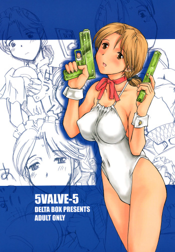 5VALVE-5 cover