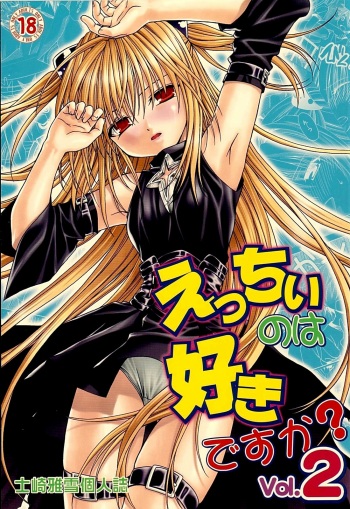 Ecchii no wa Suki Desu ka? 2 cover