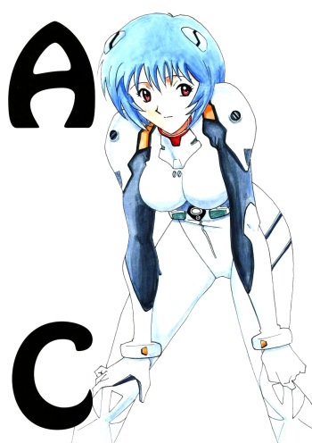 AC cover