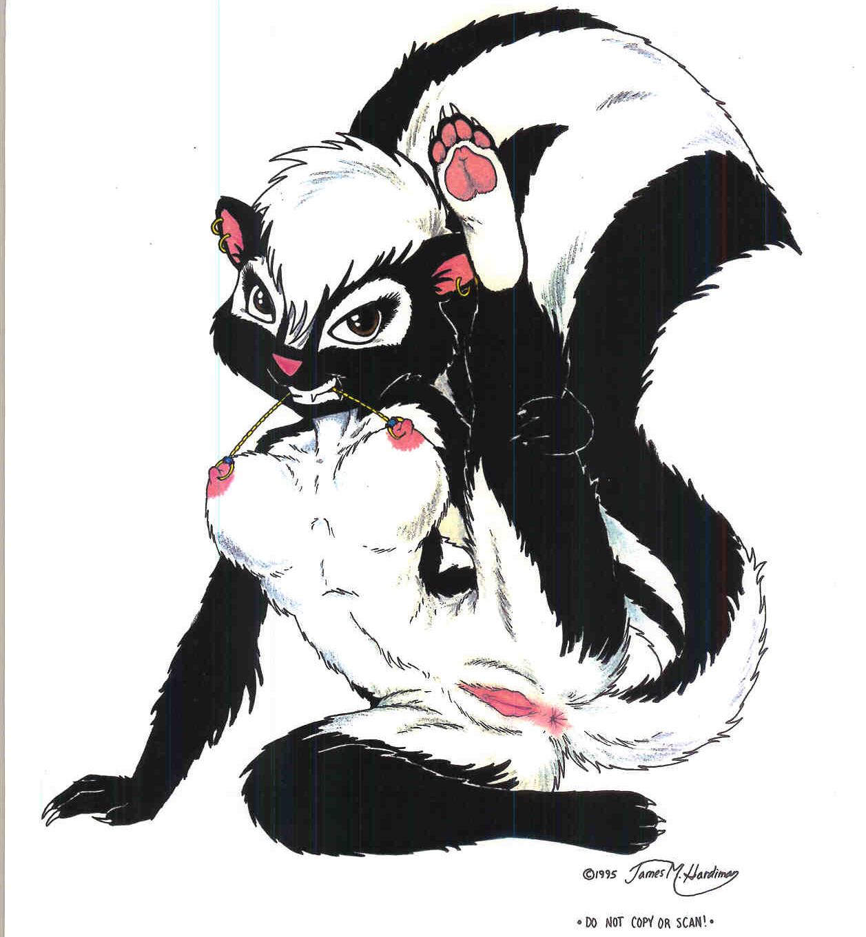 skunkworks 1 page 2 full