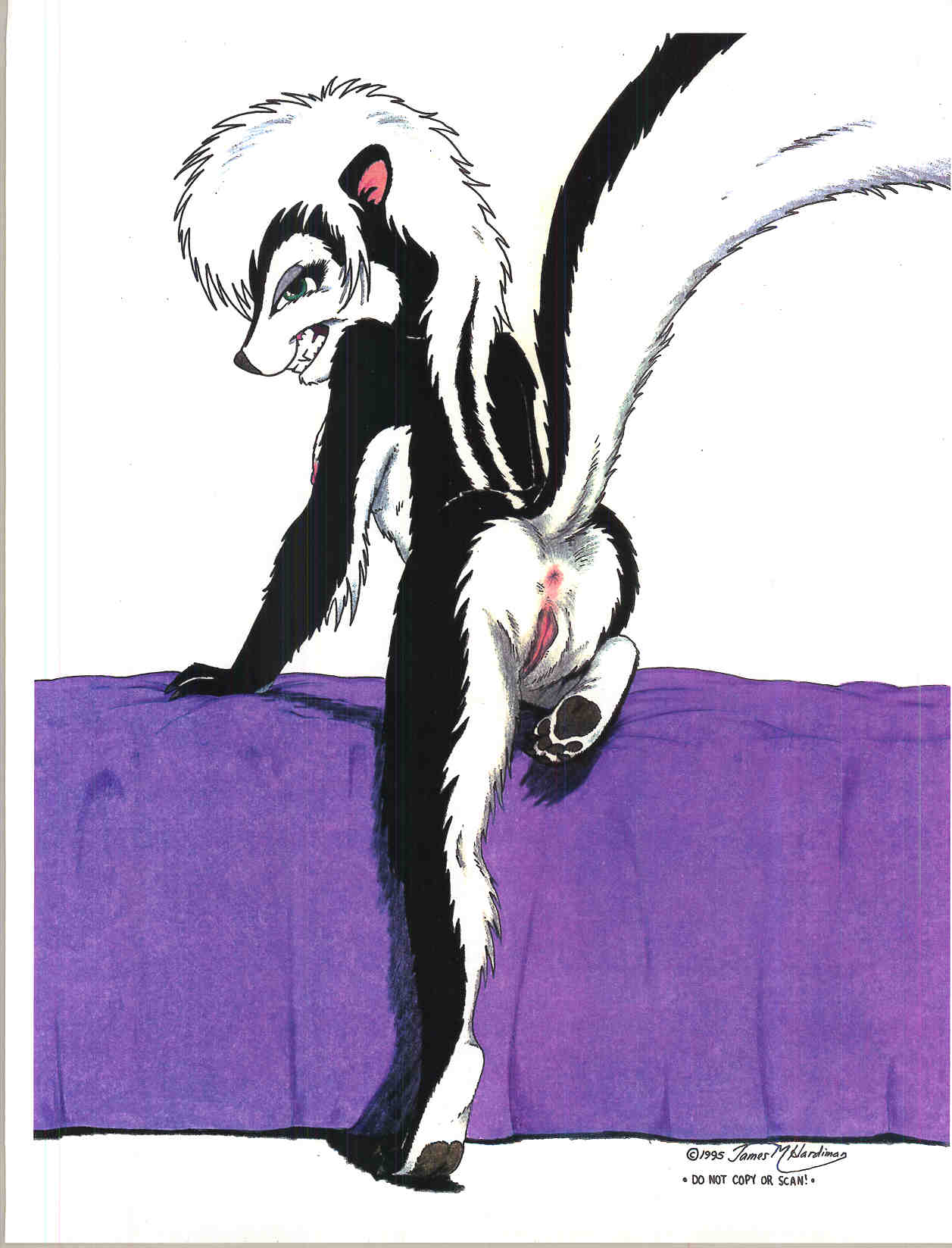 skunkworks 1 page 3 full