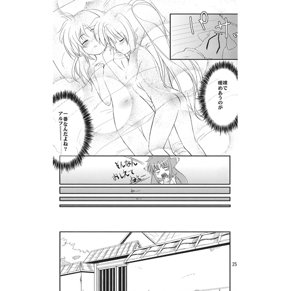 Mahou Shoujo Lyrical Nanoha page 9 full
