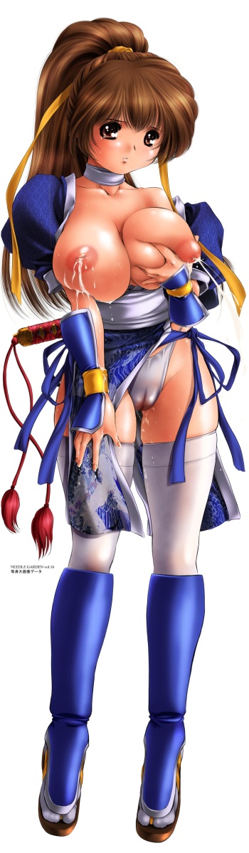 Needle Garden vol. 16 cover