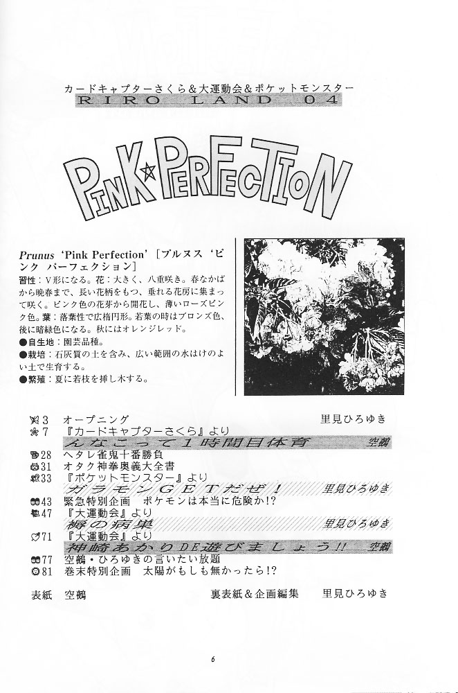 PINK PERFECTION page 5 full