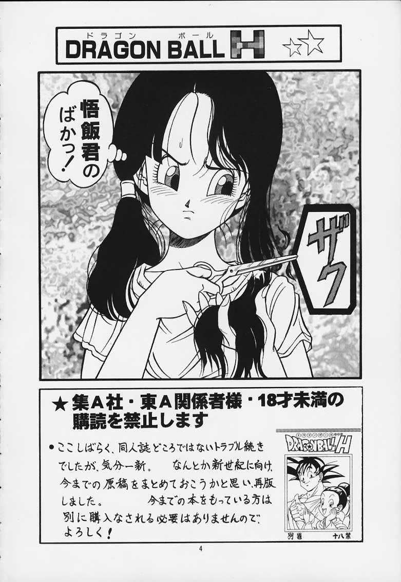 DRAGONBALL H Maki Ichi Ni Saihan page 3 full