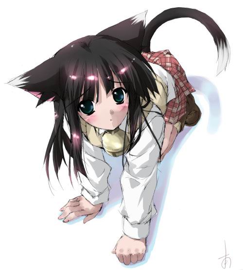 Neko final page 10 full