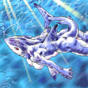 Sea Discovery cover