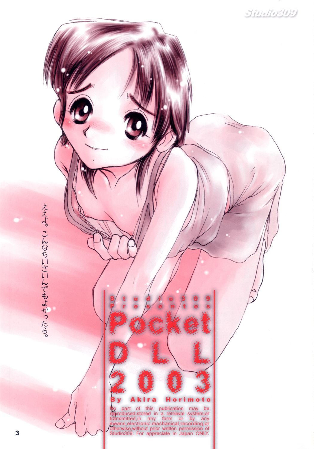 Pocket Dll page 2 full