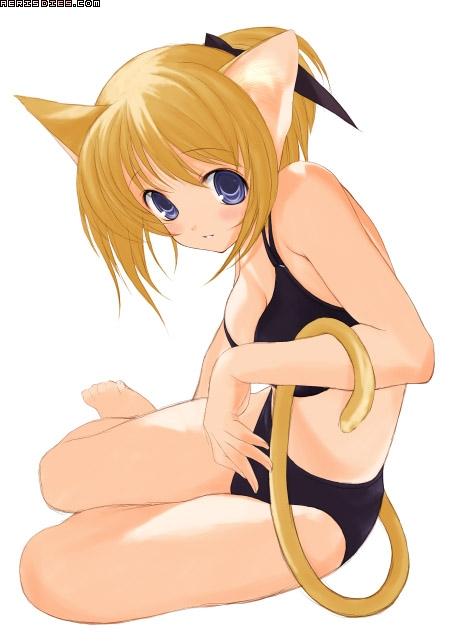 Sexy Catgirls page 3 full