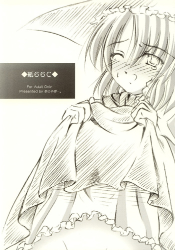 Kami 66C cover