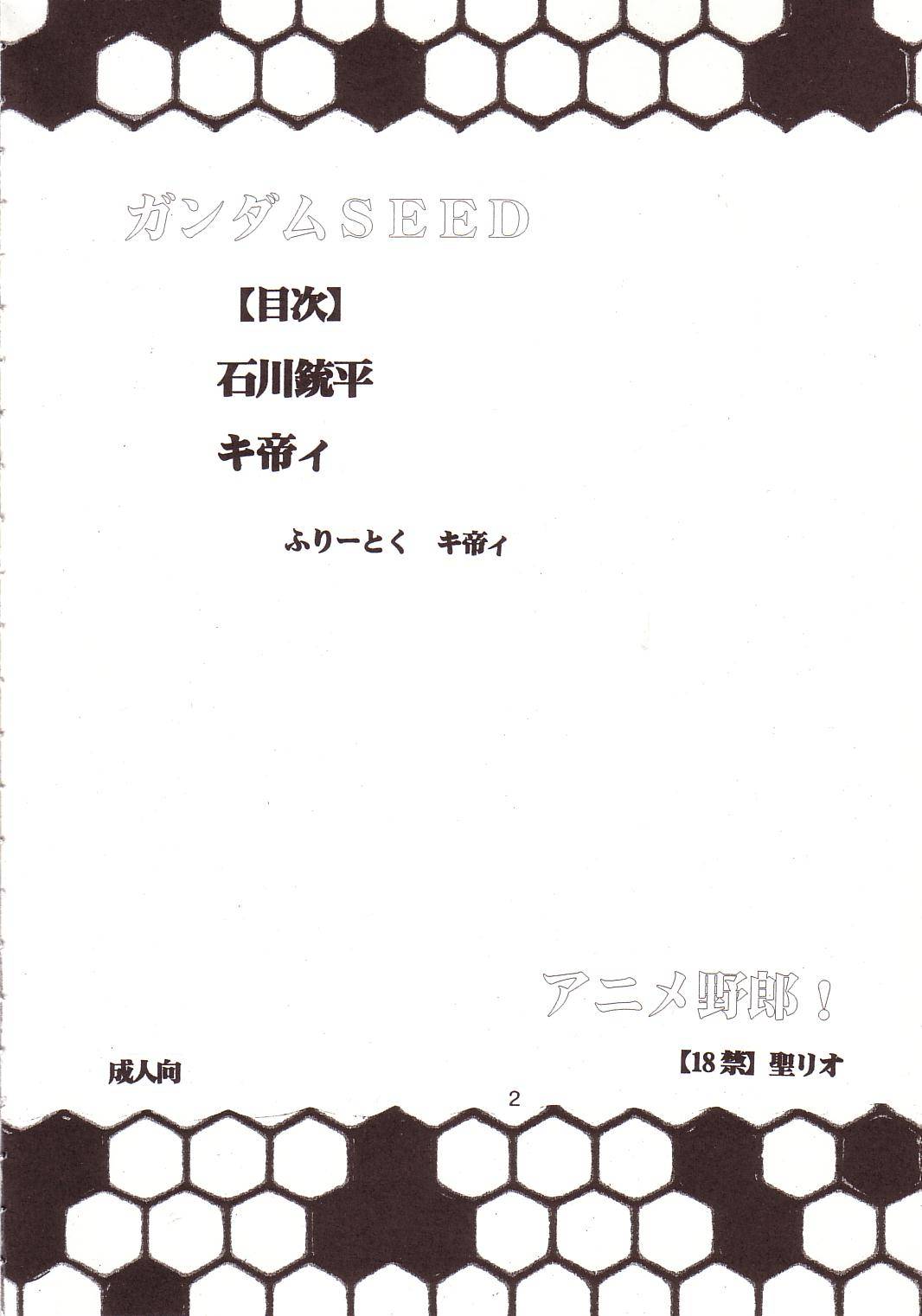 SEED 4 page 3 full