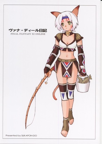 Vana'diel Nikki cover