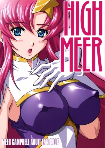 HIGH MEER cover