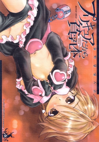 Precure dakara Hinnyuu Bon cover