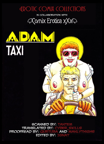 Taxi cover