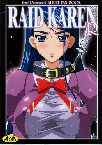 Raid Karen R cover