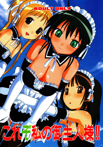 Kore zo Watashi no Goshujin-sama!! cover