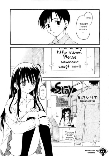 Stay cover