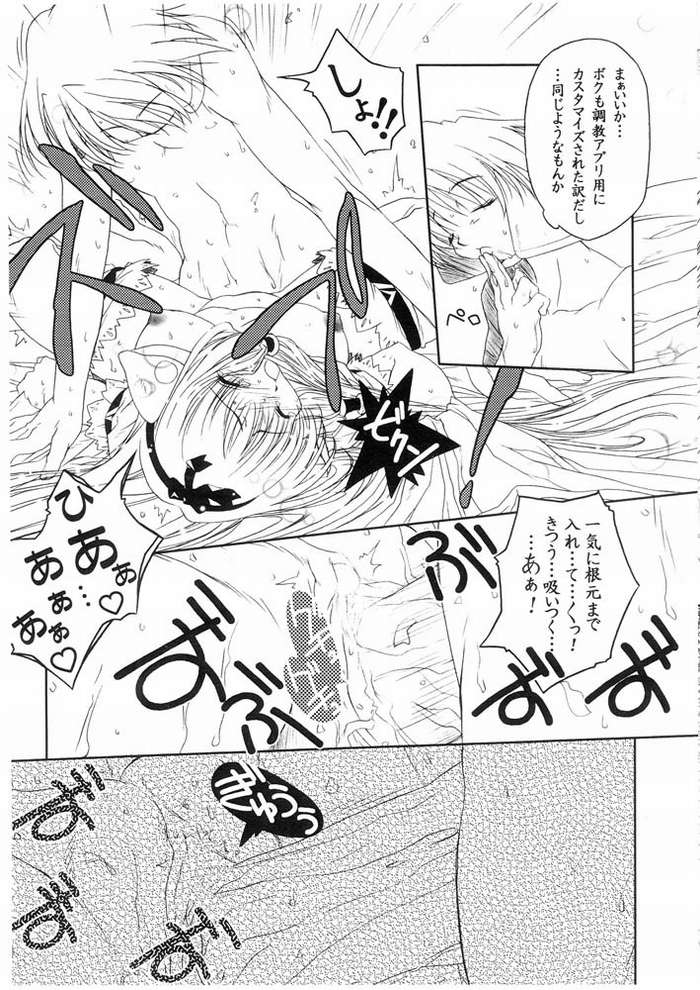 lan page 5 full