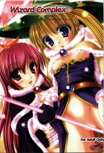 Wizard Complex cover
