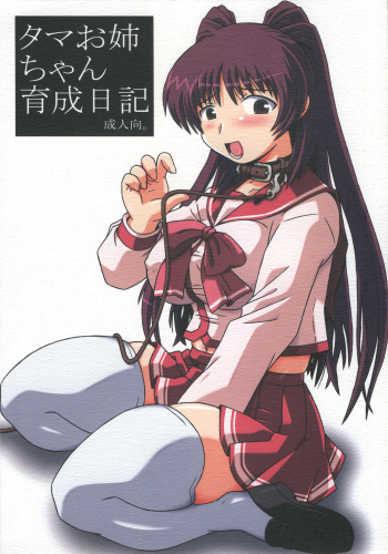 Tama Onee-chan Ikusei Nikki cover