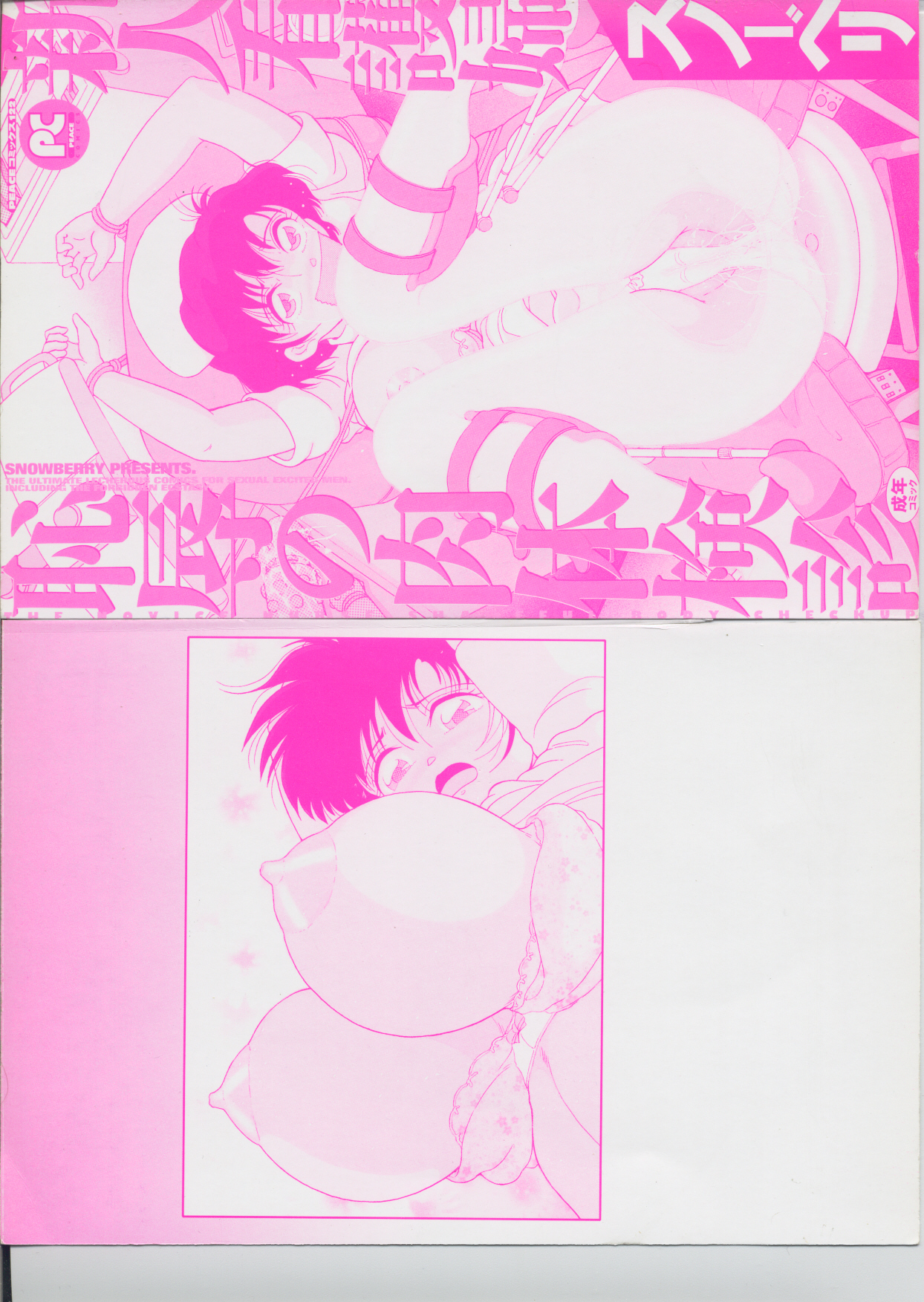 Shinjin Kango fu Chijoku no Nikutai Kenshin page 3 full