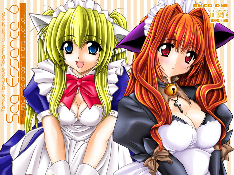 Sky Fantasy 6 page 1 full