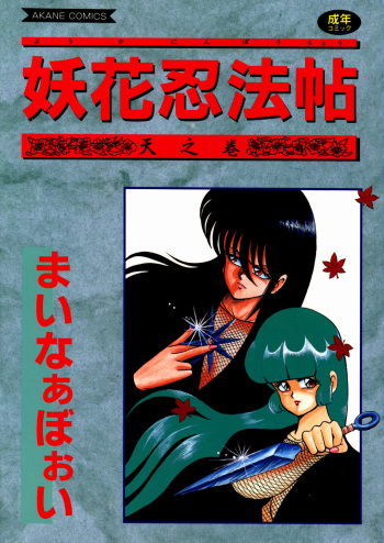 Youka Ninpouchou Ten no Maki cover
