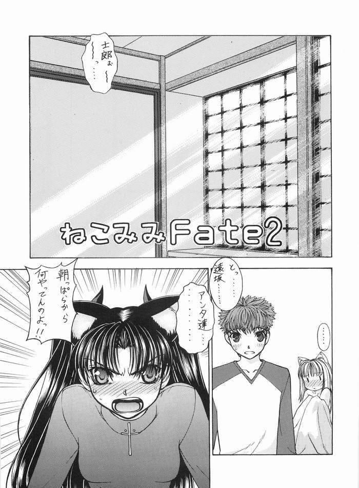 Nekomimi Fate 2 page 5 full