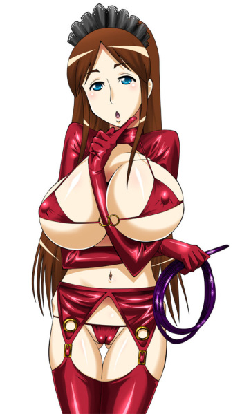 Big Breasts Series : Maids cover