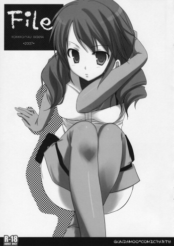 File cover